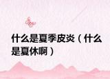 什么是夏季皮炎（什么是夏休啊）