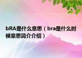 bRA是什么意思（bra是什么时候意思简介介绍）