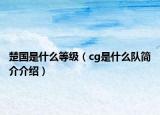 楚国是什么等级（cg是什么队简介介绍）