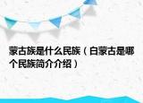 蒙古族是什么民族（白蒙古是哪个民族简介介绍）