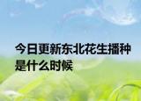 今日更新东北花生播种是什么时候