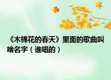 《木棉花的春天》里面的歌曲叫啥名字（谁唱的）