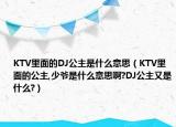 KTV里面的DJ公主是什么意思（KTV里面的公主,少爷是什么意思啊?DJ公主又是什么?）