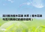 流川枫与樱木花道 关系（樱木花道与流川枫他们的最终结局）