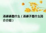 汤婆婆是什么（汤婆子是什么简介介绍）