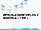 孤绝如初见,斟酌亦无言什么意思（孤绝如初见是什么意思）