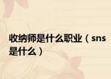 收纳师是什么职业（sns是什么）