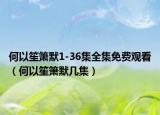 何以笙箫默1-36集全集免费观看（何以笙箫默几集）