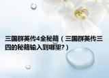 三国群英传4全秘籍（三国群英传三四的秘籍输入到哪里?）