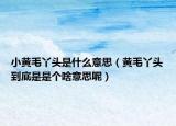 小黄毛丫头是什么意思（黄毛丫头到底是是个啥意思呢）