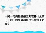 一闪一闪亮晶晶是王力宏的什么歌（一闪一闪亮晶晶是什么歌名王力宏）