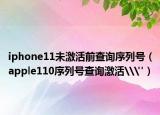 iphone11未激活前查询序列号（apple110序列号查询激活\