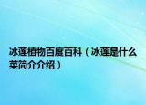 冰莲植物百度百科（冰莲是什么菜简介介绍）