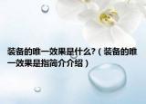 装备的唯一效果是什么?（装备的唯一效果是指简介介绍）