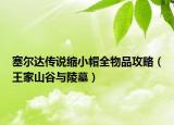 塞尔达传说缩小帽全物品攻略（王家山谷与陵墓）