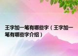 王字加一笔有哪些字（王字加一笔有哪些字介绍）