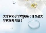 大非农和小非农关系（什么是大非农简介介绍）