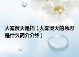大雾漫天是指（大雾漫天的意思是什么简介介绍）