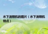水下滑翔机的图片（水下滑翔机特点）
