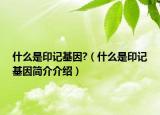 什么是印记基因?（什么是印记基因简介介绍）