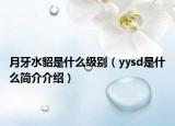 月牙水貂是什么级别（yysd是什么简介介绍）