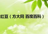 红豆（方大同 百度百科）