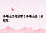 小婊砸其他意思（小婊砸是什么意思）