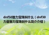 dnf50智力宝珠叫什么（dnf30力量智力宝珠叫什么简介介绍）