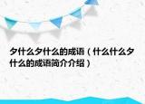 夕什么夕什么的成语（什么什么夕什么的成语简介介绍）