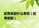 配售新股什么意思（配售新股）