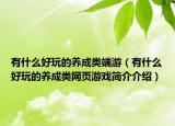 有什么好玩的养成类端游（有什么好玩的养成类网页游戏简介介绍）