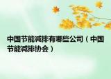 中国节能减排有哪些公司（中国节能减排协会）