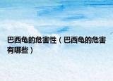 巴西龟的危害性（巴西龟的危害有哪些）