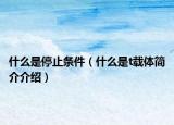 什么是停止条件（什么是t载体简介介绍）