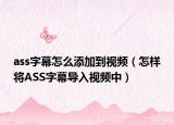 ass字幕怎么添加到视频（怎样将ASS字幕导入视频中）