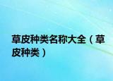 草皮种类名称大全（草皮种类）
