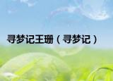寻梦记王珊（寻梦记）