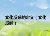 文化反哺的定义（文化反哺）