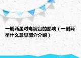 一剧两星对电视台的影响（一剧两星什么意思简介介绍）