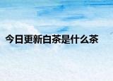 今日更新白茶是什么茶
