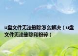 u盘文件无法删除怎么解决（u盘文件无法删除和粉碎）