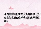 今日更新支付宝怎么没有借呗（支付宝怎么没有借呗功能怎么开通借款）