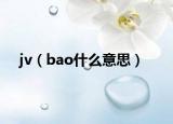 jv（bao什么意思）