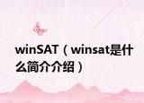 winSAT（winsat是什么简介介绍）