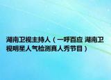 湖南卫视主持人（一呼百应 湖南卫视明星人气检测真人秀节目）