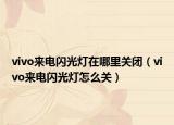 vivo来电闪光灯在哪里关闭（vivo来电闪光灯怎么关）