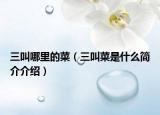 三叫哪里的菜（三叫菜是什么简介介绍）