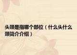头颈是指哪个部位（什么头什么颈简介介绍）