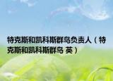 特克斯和凯科斯群岛负责人（特克斯和凯科斯群岛 英）