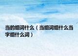 当的组词什么（当组词组什么当字组什么词）